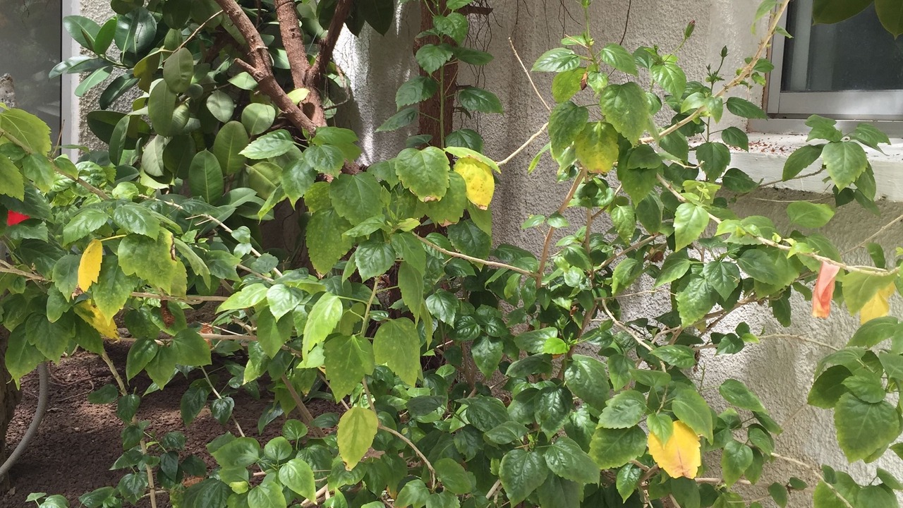 Photo of Others in Le Barcares