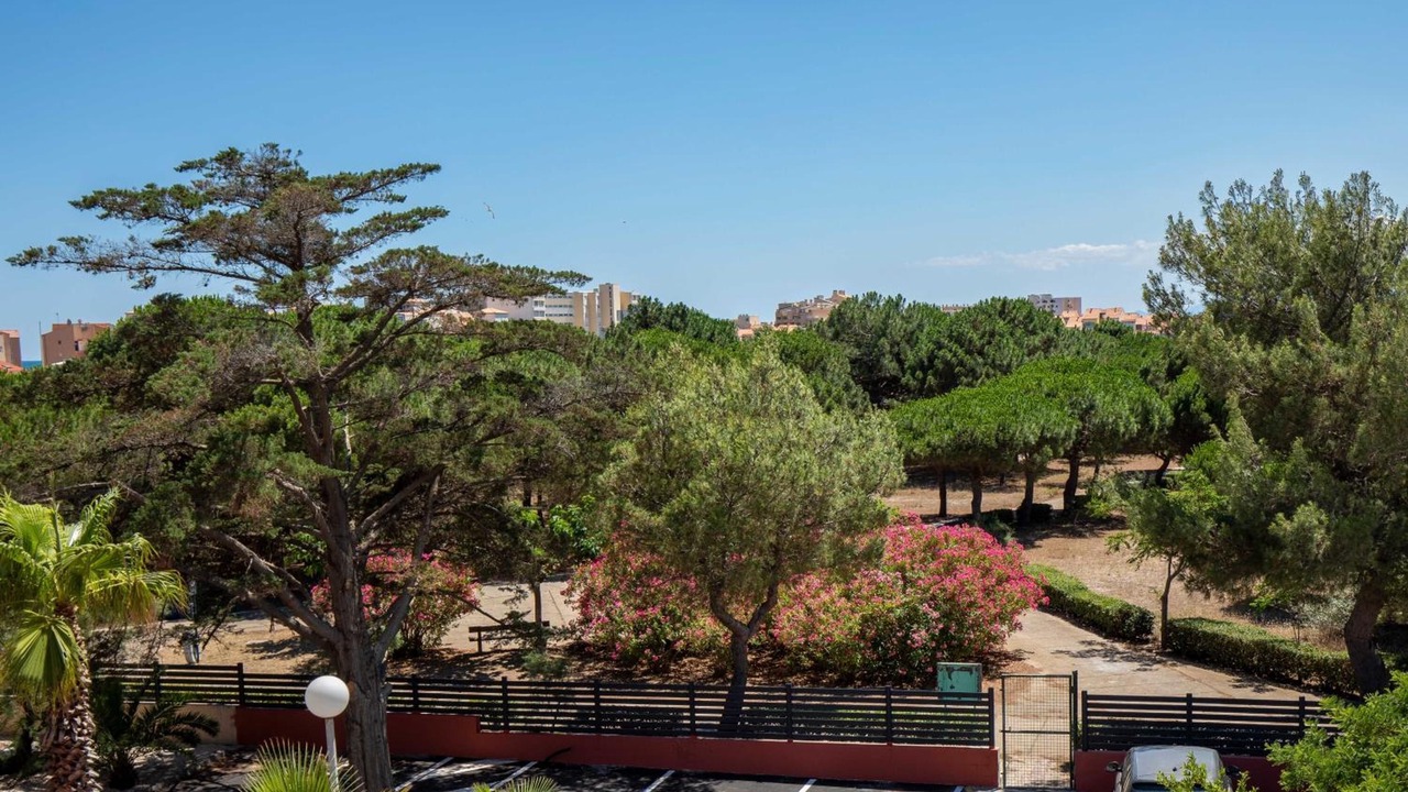 Photo of Outdoor in Le Barcares