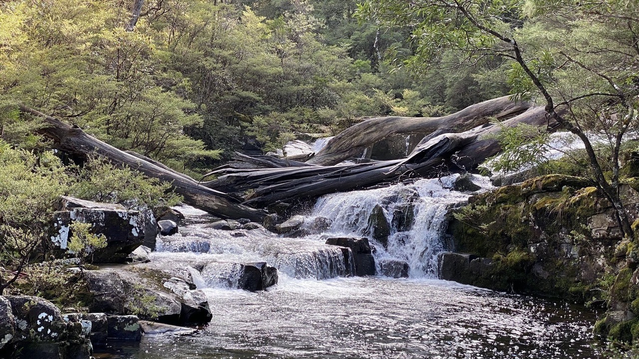 Photo of Others in Gloucester