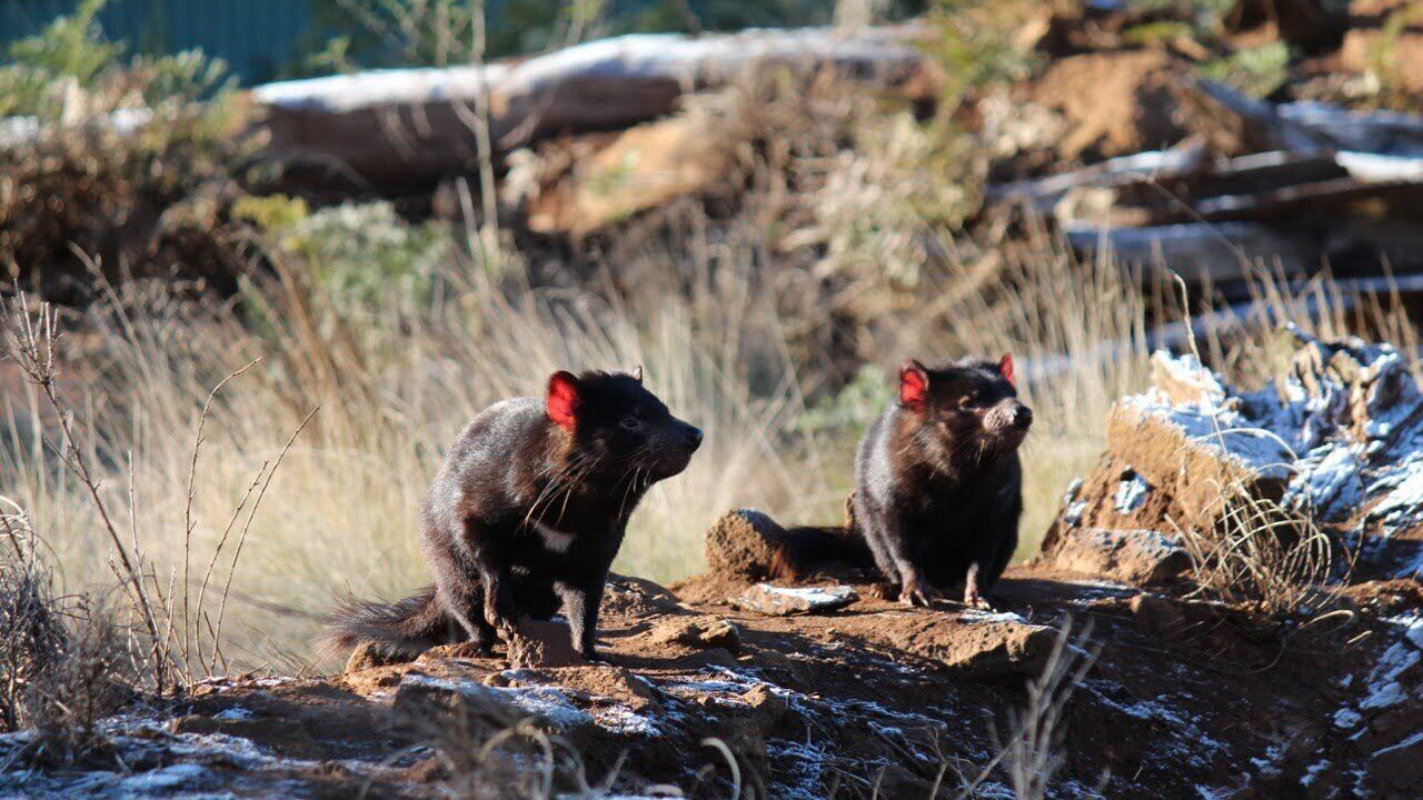 Photo of Others in Gloucester