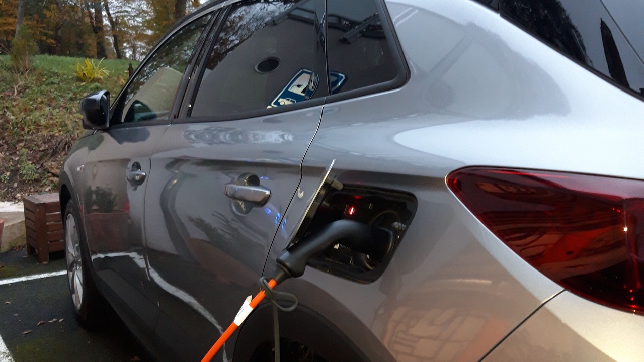 Photo of Others in Cellettes