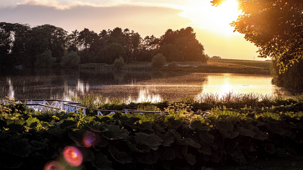 Photo of Outdoor in Ringsted