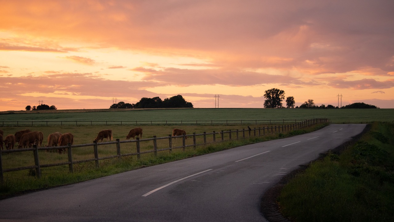 Photo of Outdoor in Ringsted