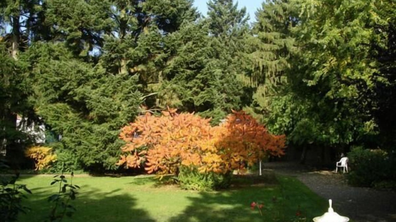 Photo of Outdoor in Rimbach-pres-Guebwiller