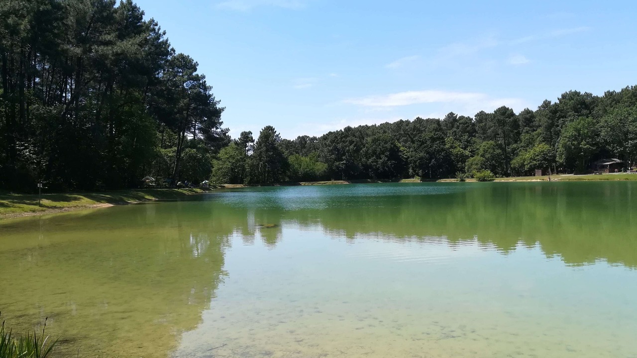 Photo of Others in Douville