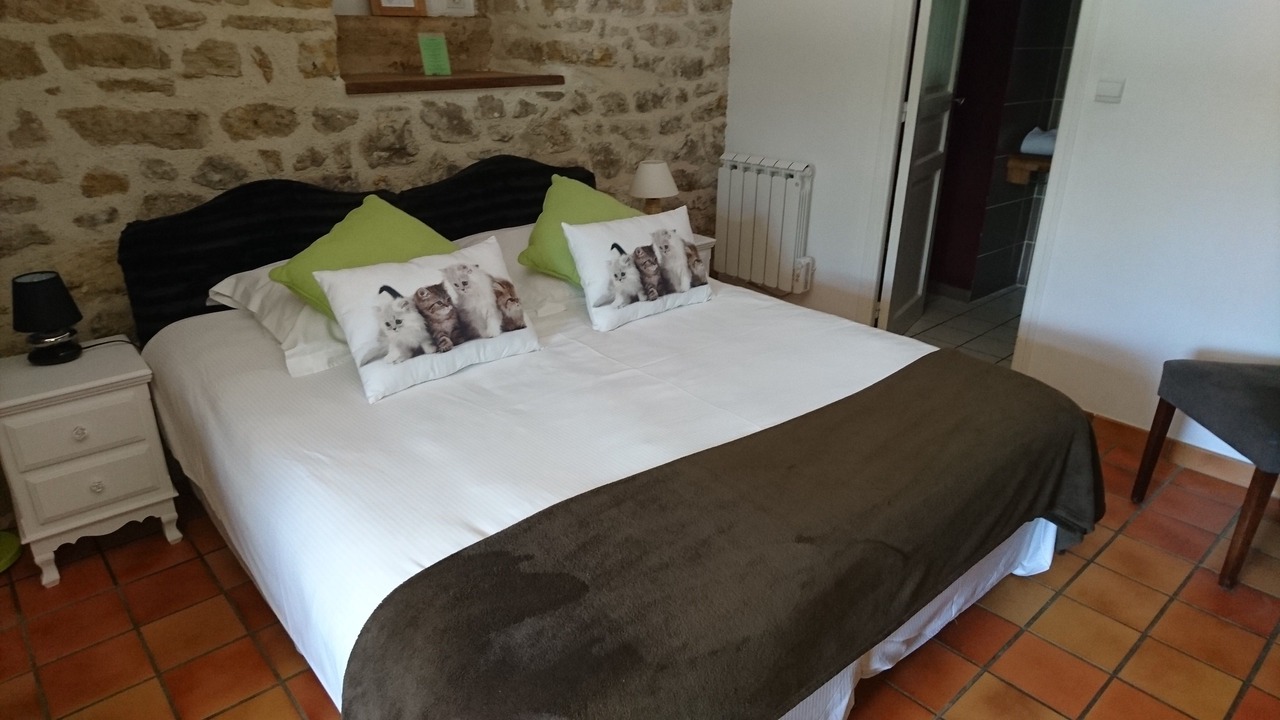Photo of Bedroom in Naussac