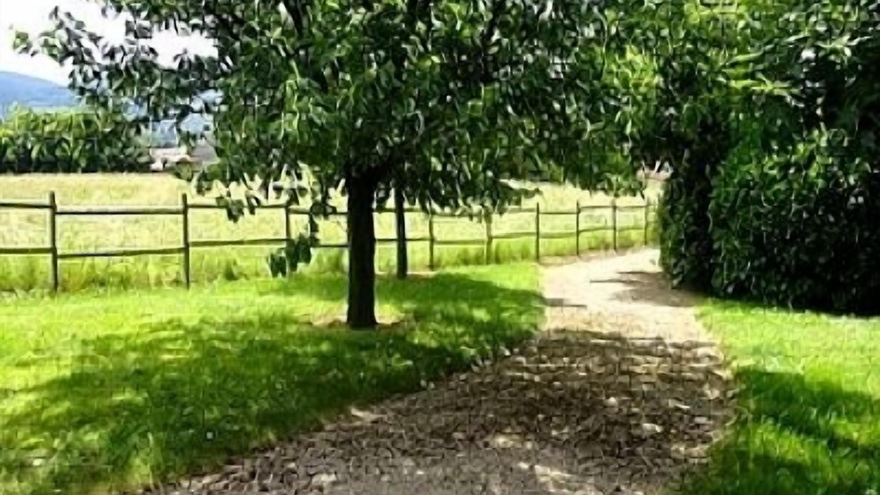 Photo of Outdoor in Sarcey