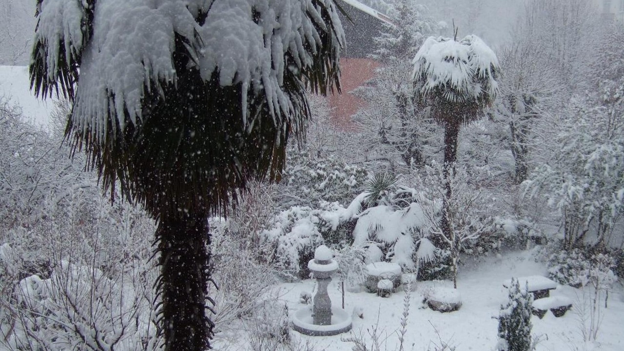 Photo of Outdoor in Argeles Gazost