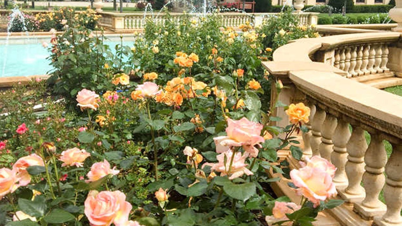 Photo of Outdoor in Unity Village