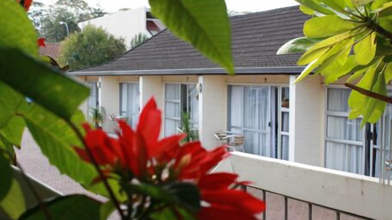 Photo of Others in Kerikeri