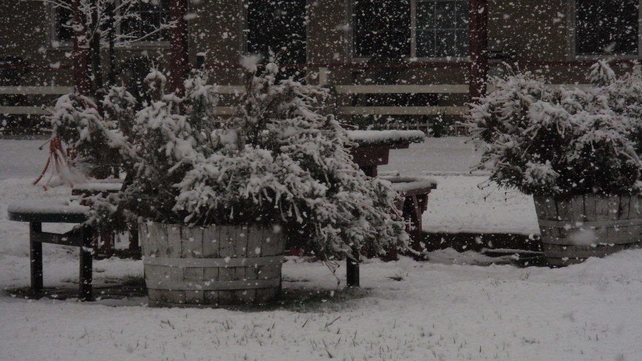 Photo of Outdoor in Altaville