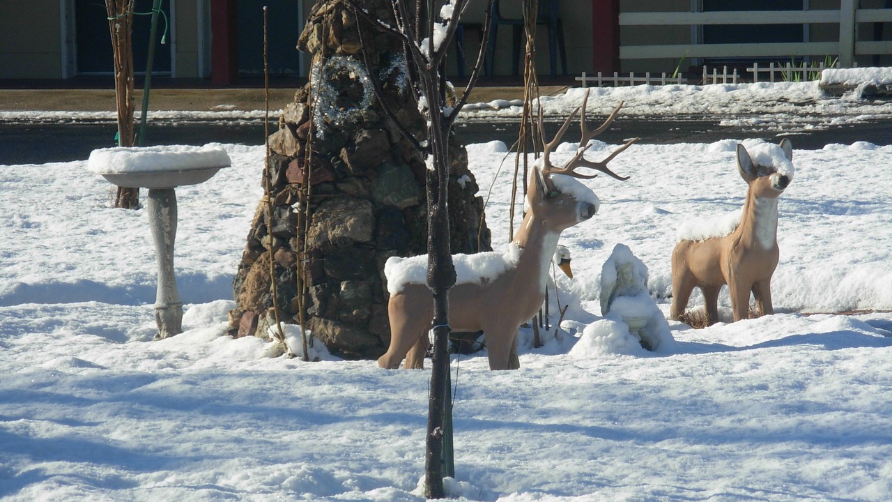 Photo of Outdoor in Altaville