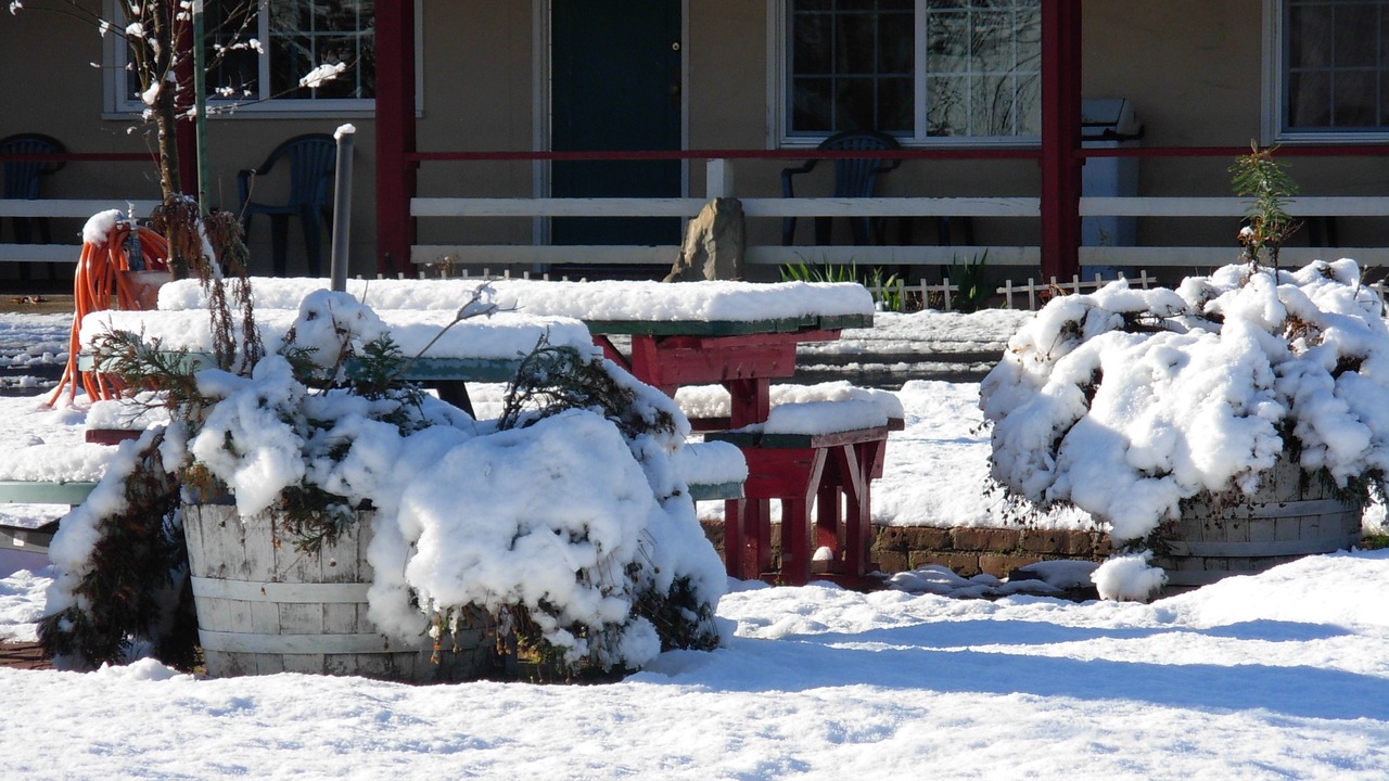 Photo of Outdoor in Altaville