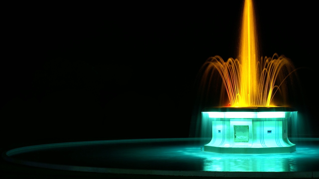 Photo of Others in Napier