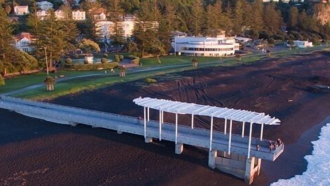 Photo of Others in Napier