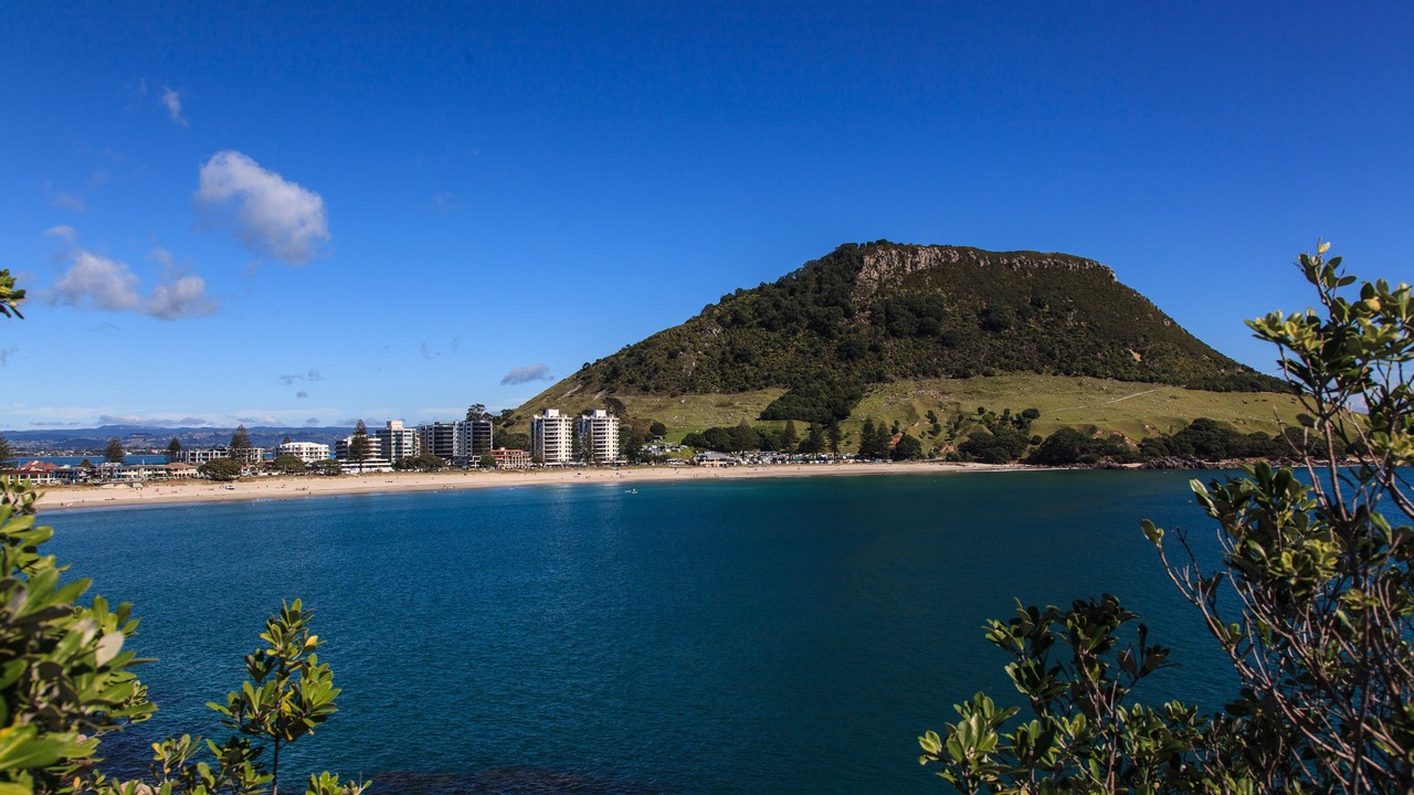 Photo of Outdoor in Tauranga