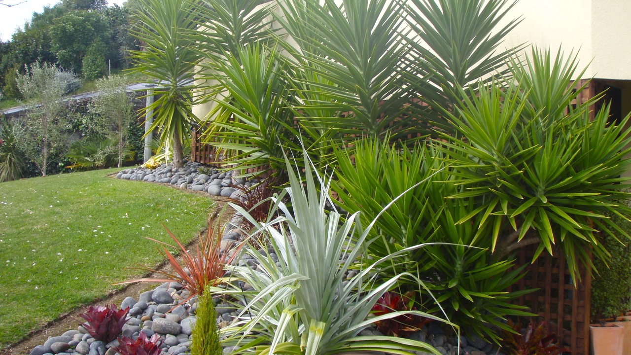 Photo of Outdoor in Tauranga