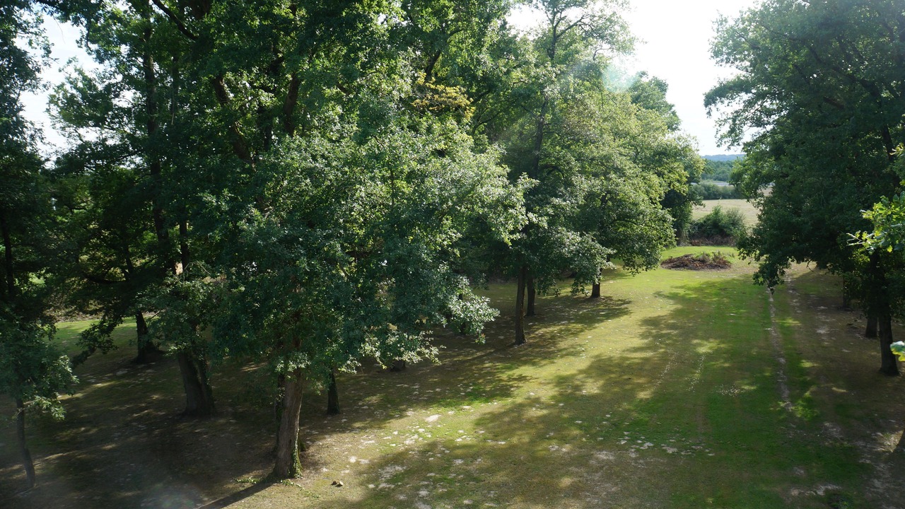 Photo of Others in Cazeres-sur-l'Adour