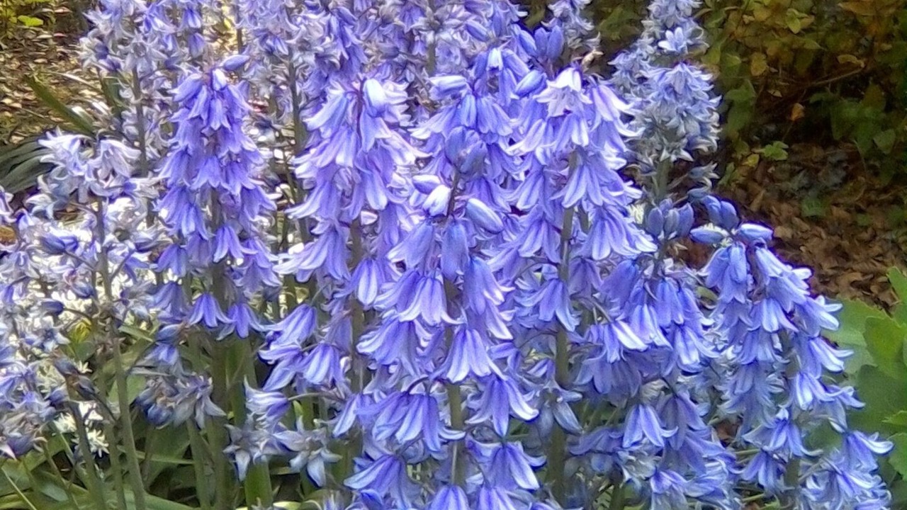 Photo of Outdoor in Coxwold