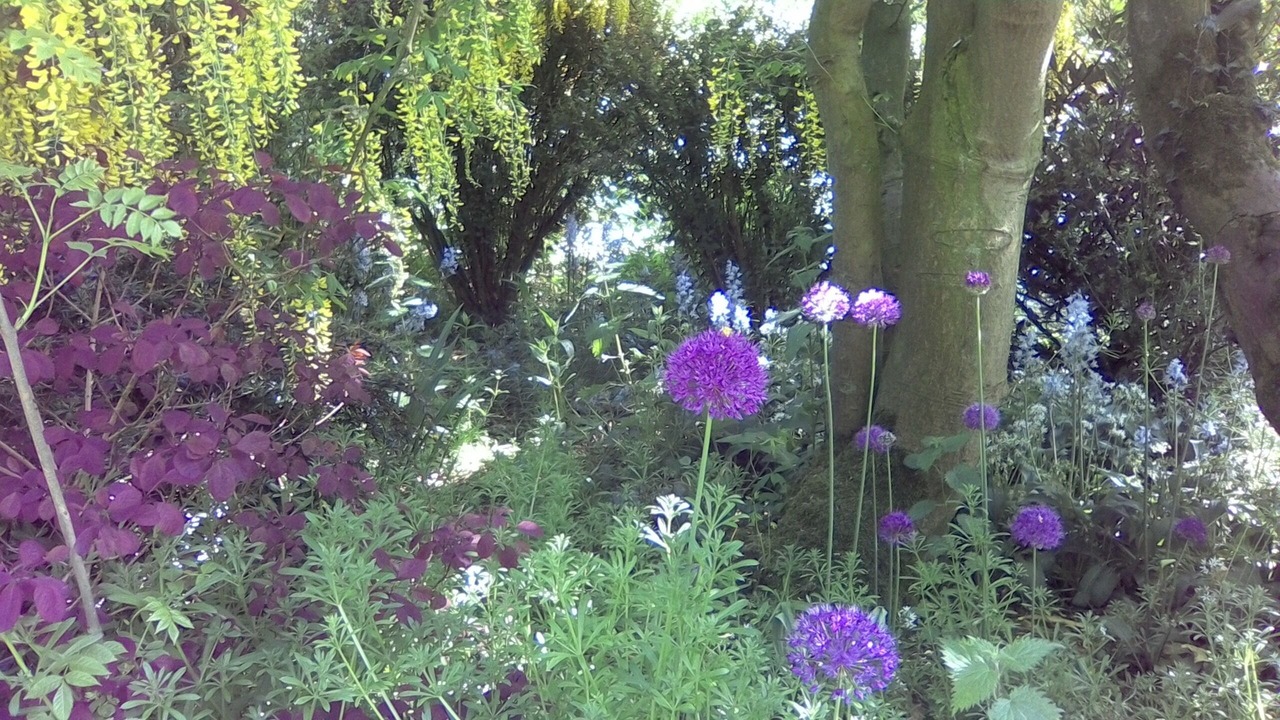 Photo of Outdoor in Coxwold