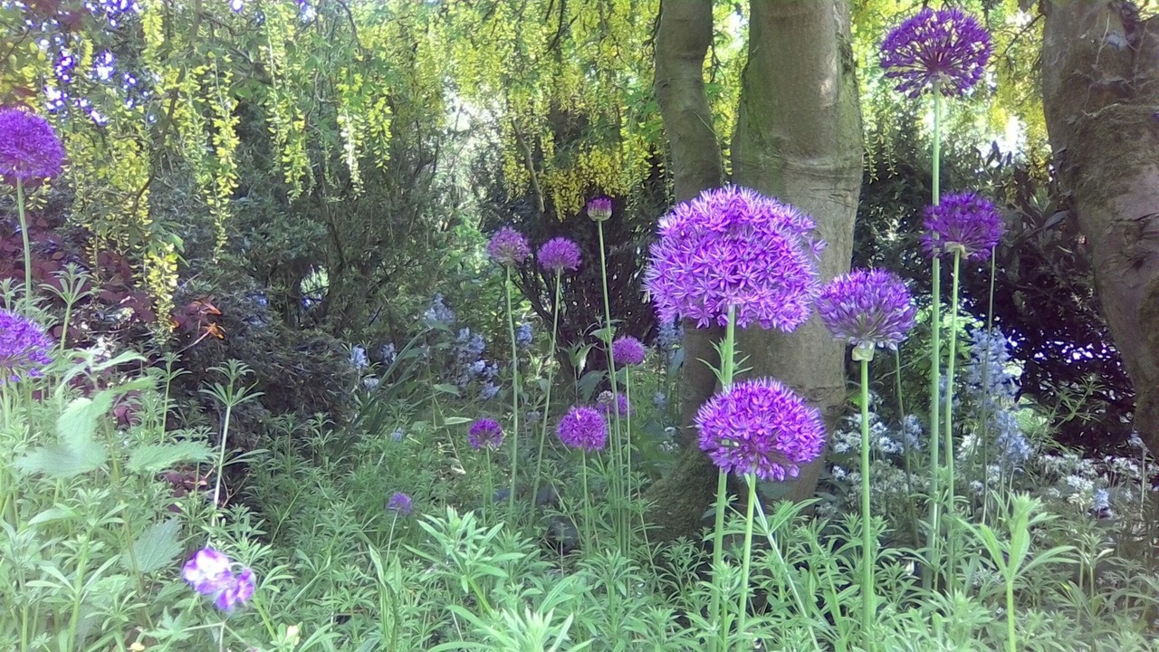 Photo of Outdoor in Coxwold