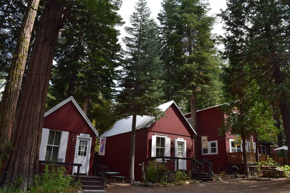 Photo of Outdoor in Tahoma