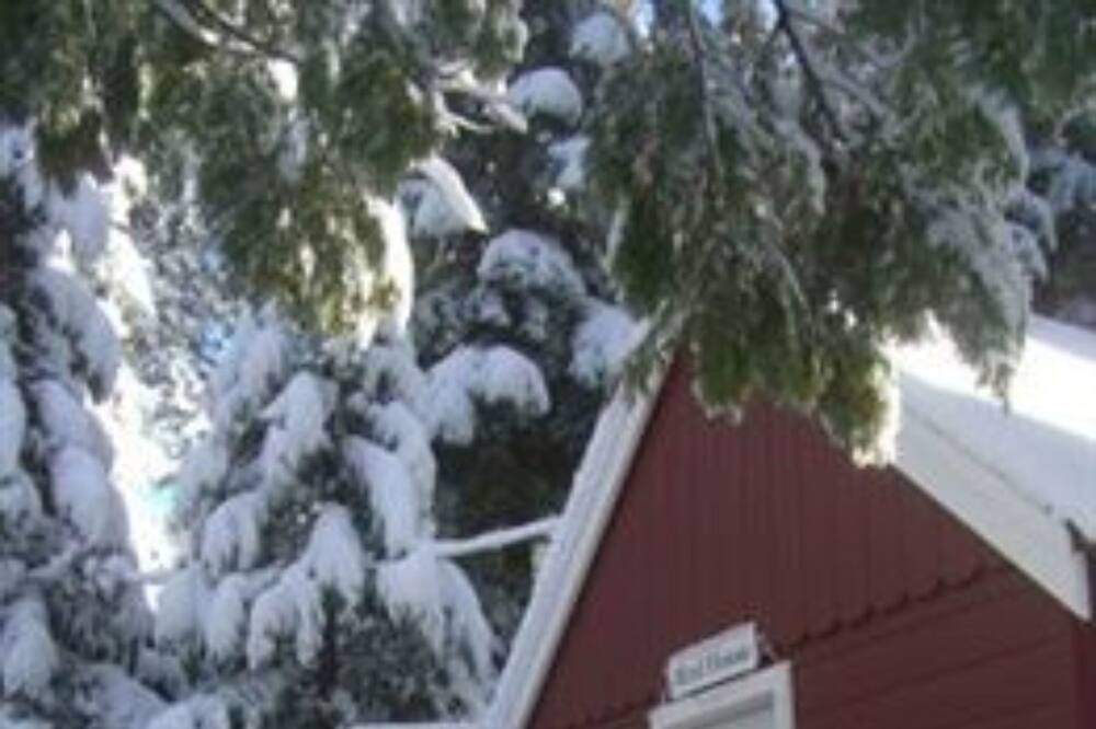 Photo of Bedroom in Tahoma