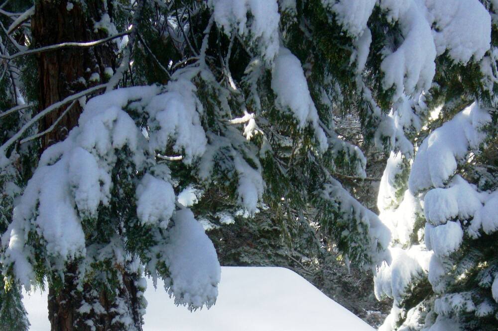 Photo of Outdoor in Tahoma