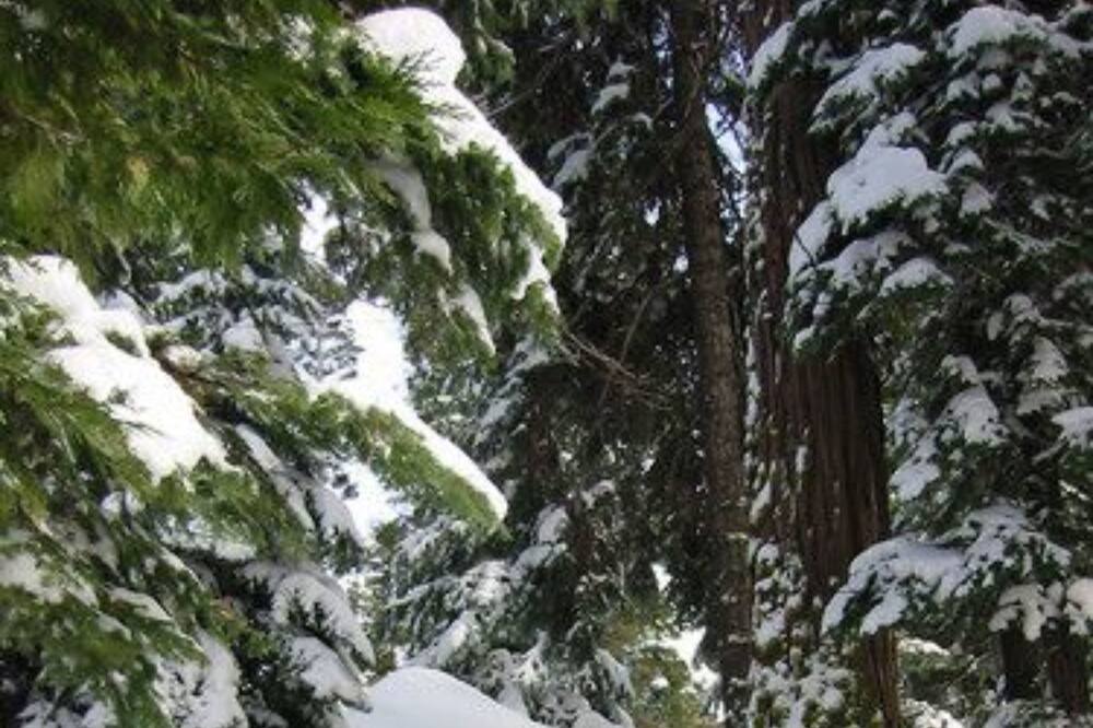 Photo of Bedroom in Tahoma