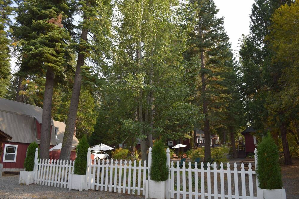 Photo of Outdoor in Tahoma