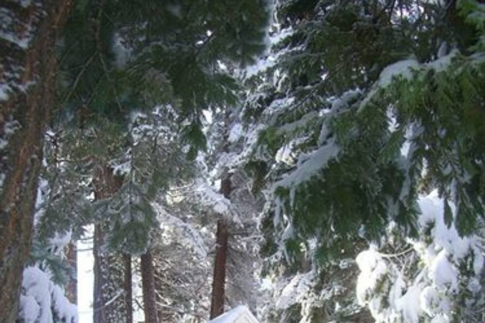 Photo of Outdoor in Tahoma
