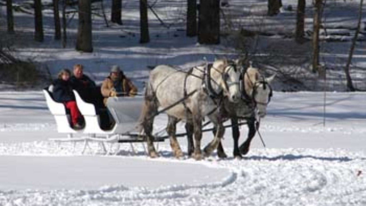 Photo of Outdoor in Geneseo