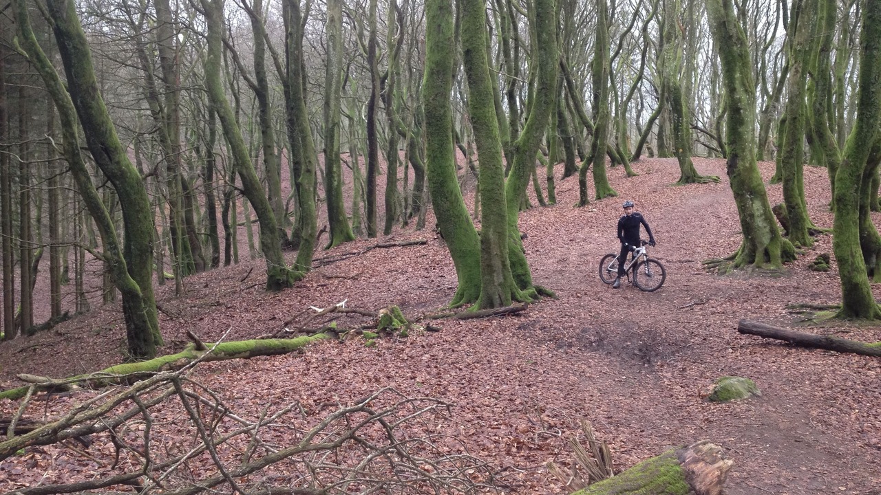 Photo of Outdoor in Rebild Municipality