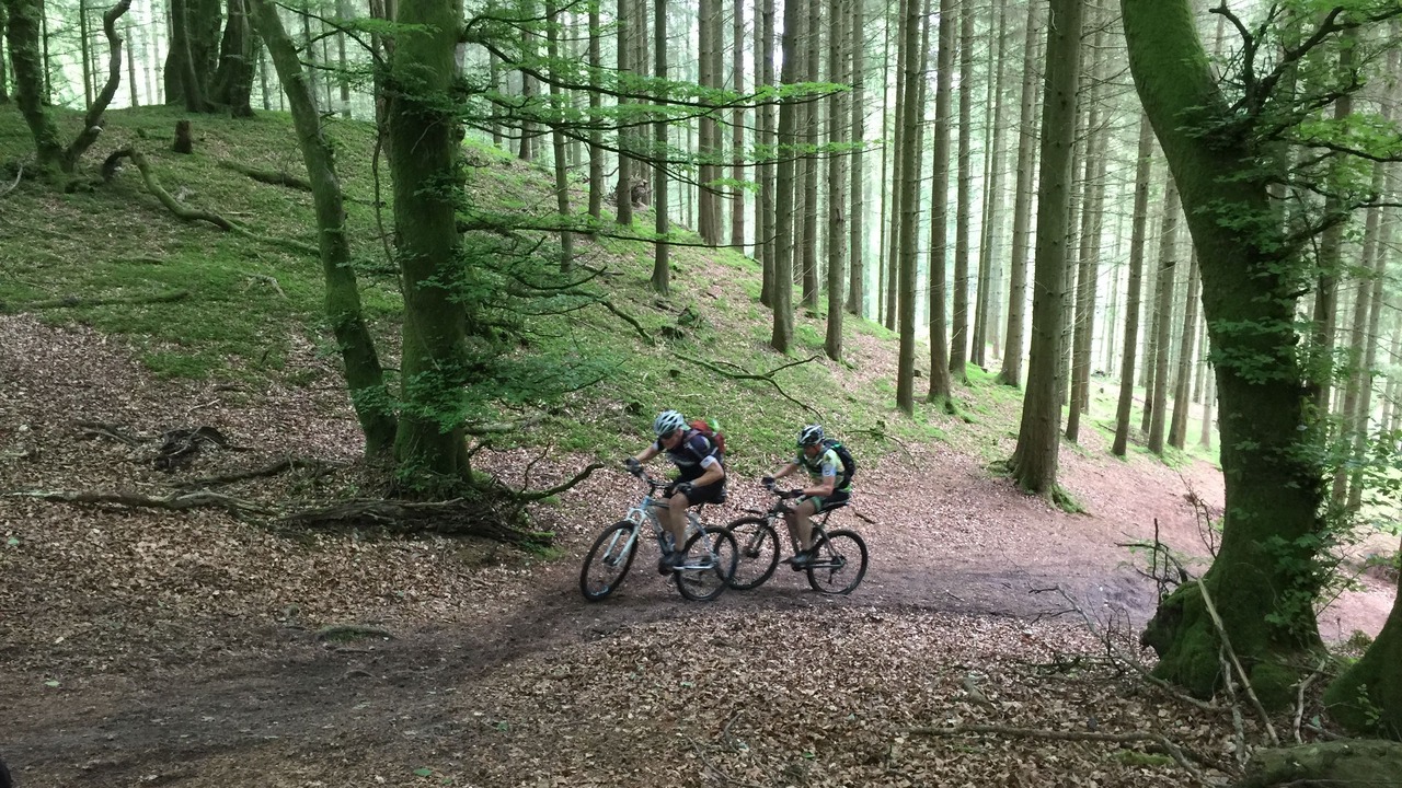 Photo of Outdoor in Rebild Municipality