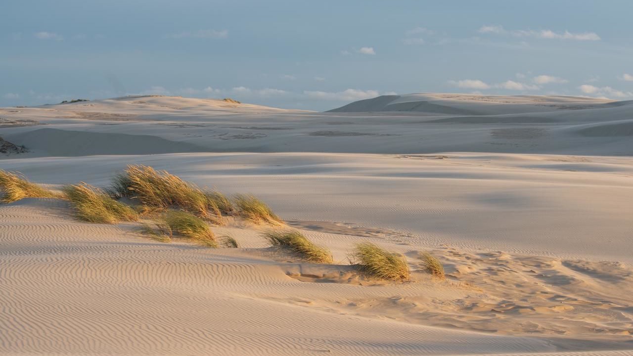 Photo of Others in Kandestederne