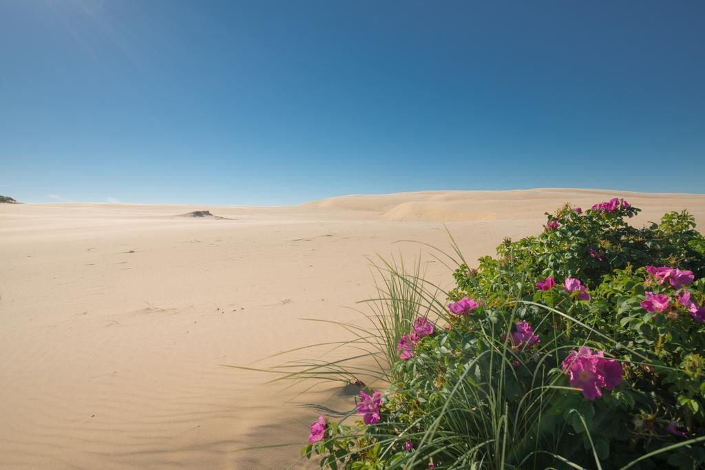 Photo of Others in Kandestederne