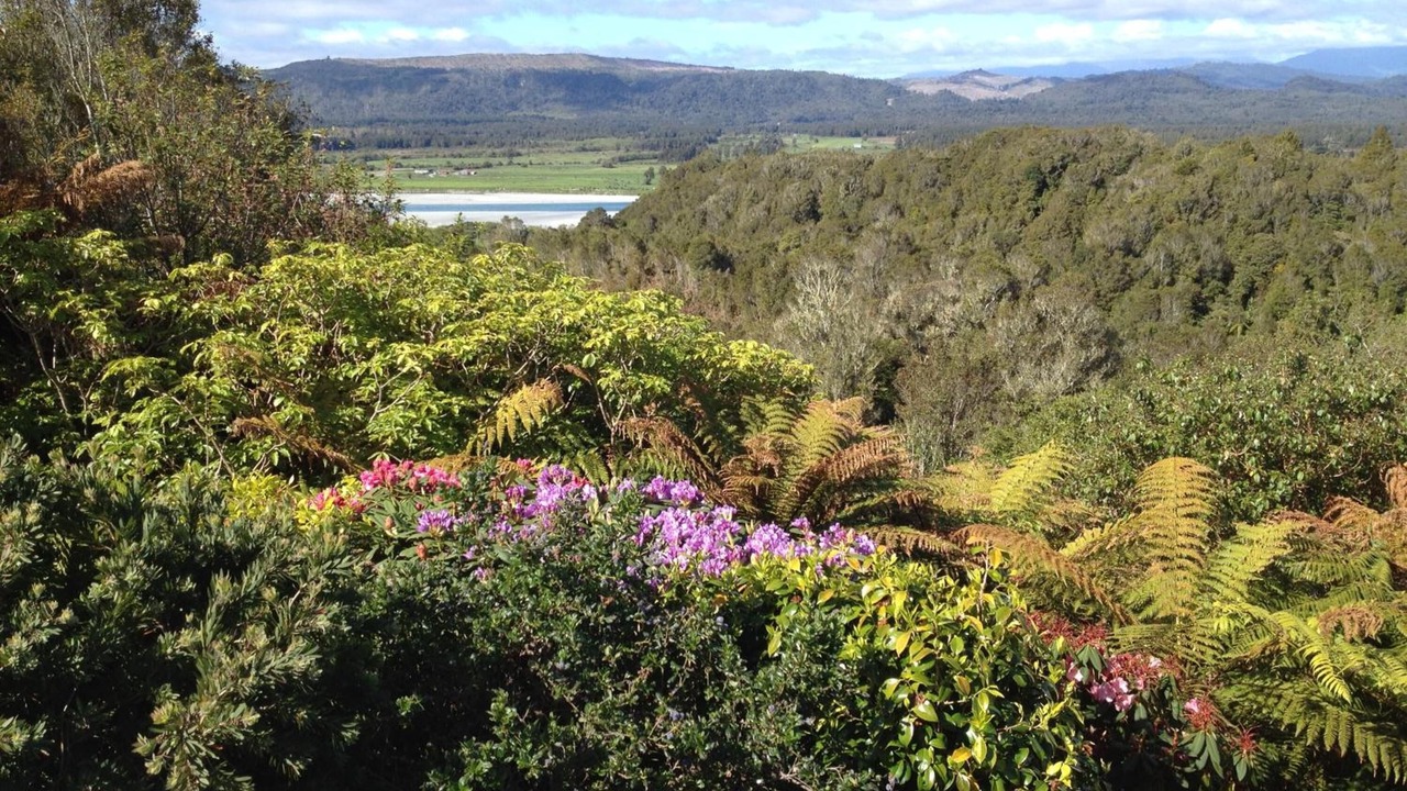 Photo of Outdoor in Hokitika