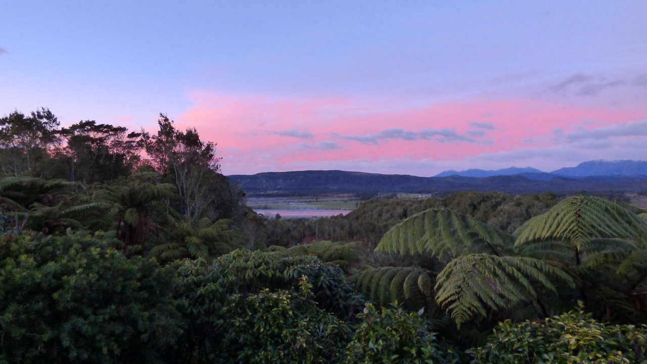 Photo of Others in Hokitika