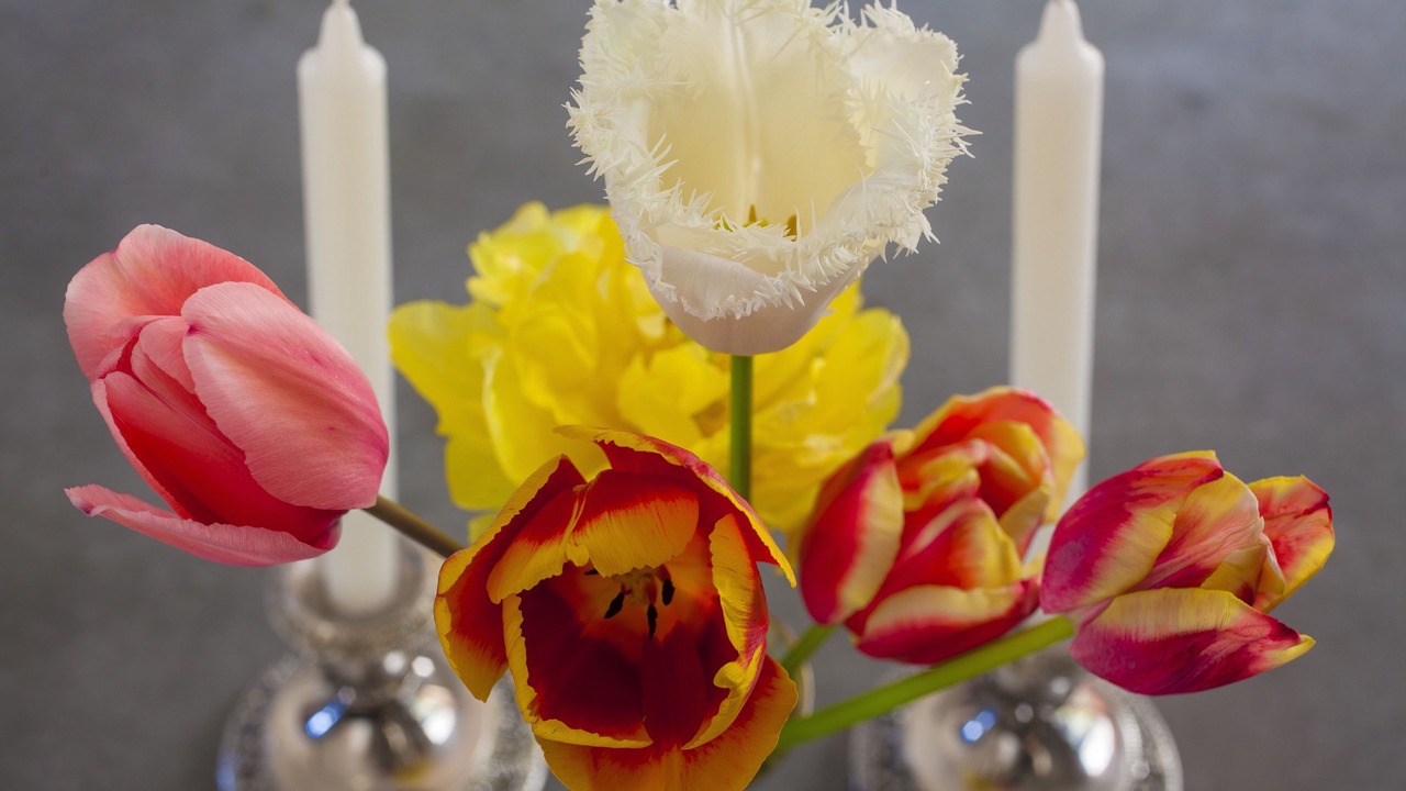 Photo of Others in Hapuku