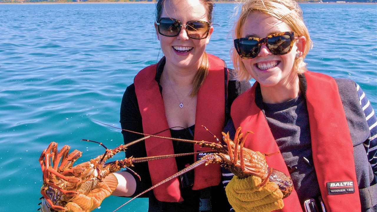 Photo of Others in Hapuku