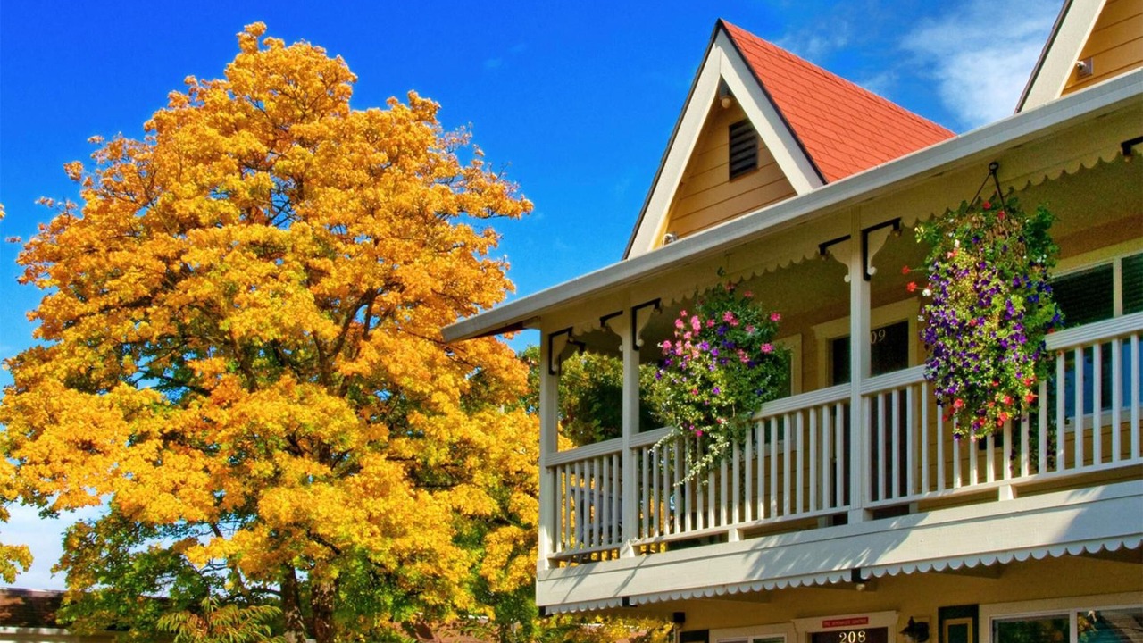 Photo of Outdoor in Silverton