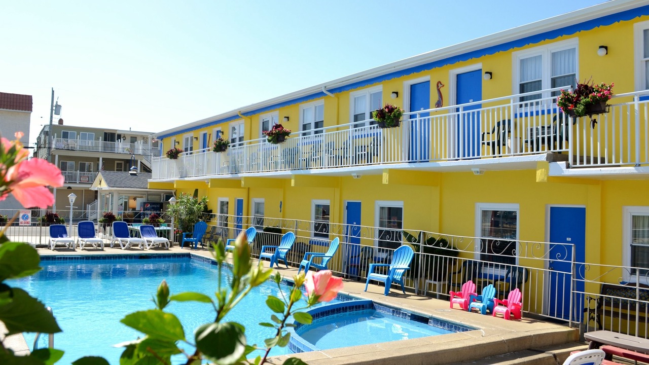 Photo of Outdoor in Wildwood