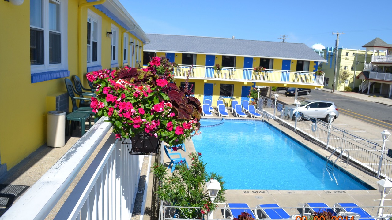 Photo of Outdoor in Wildwood