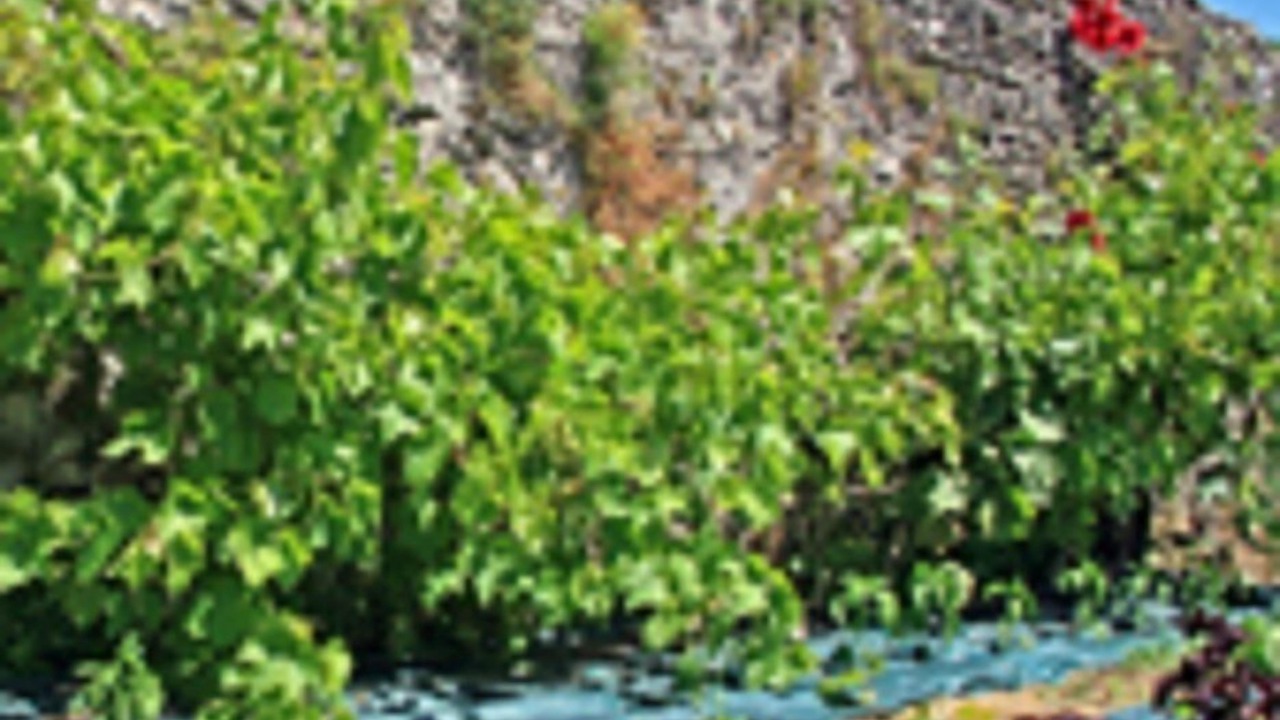 Photo of Outdoor in Bouin