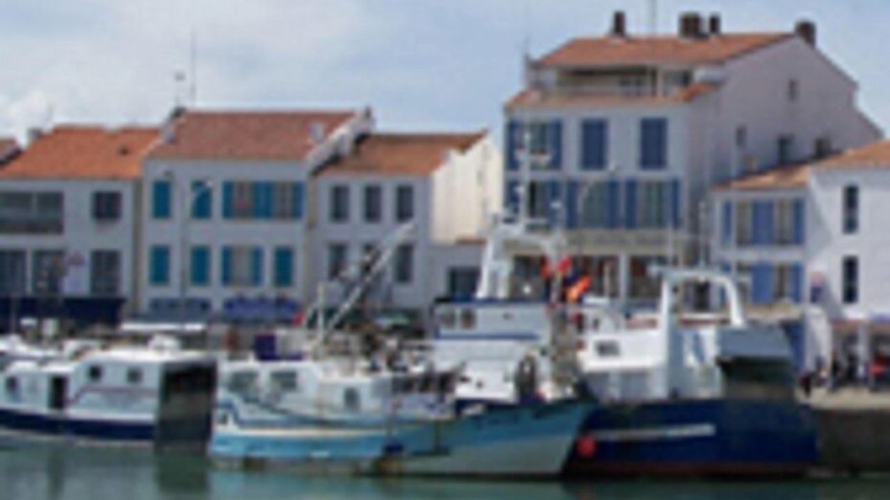Photo of Others in Bouin