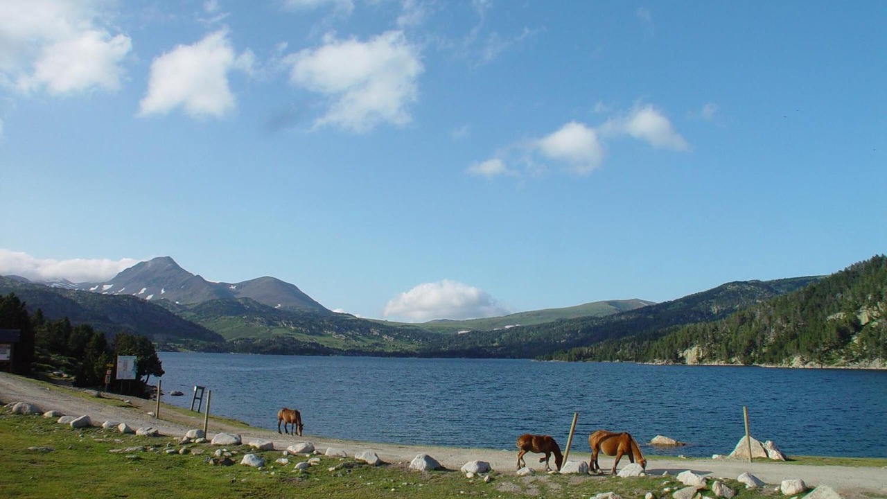 Photo of Others in La Cabanasse