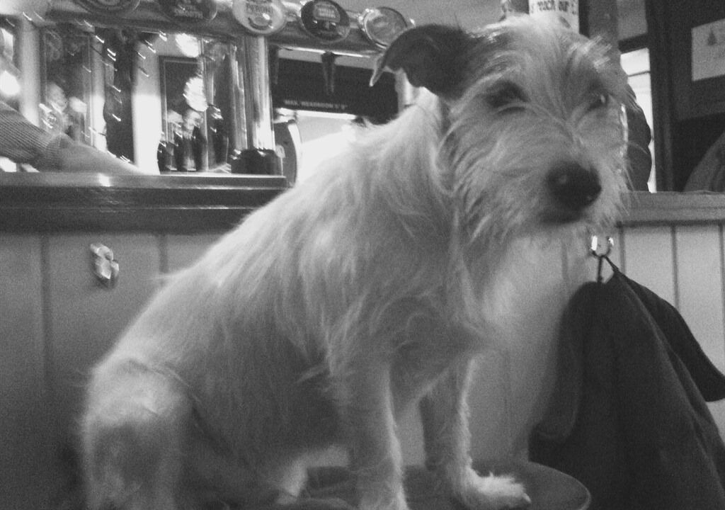 Photo of Others in Sherington