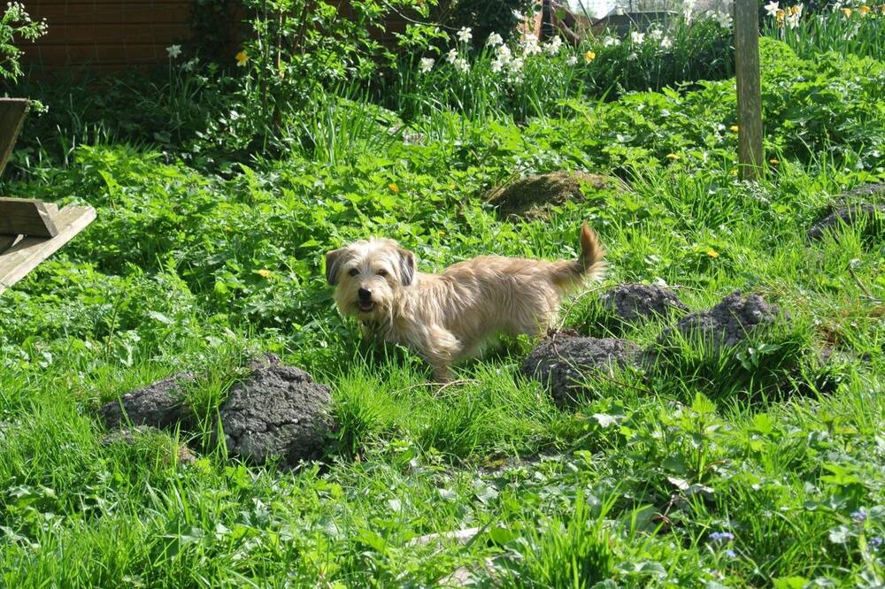 Photo of Outdoor in Collingbourne Kingston