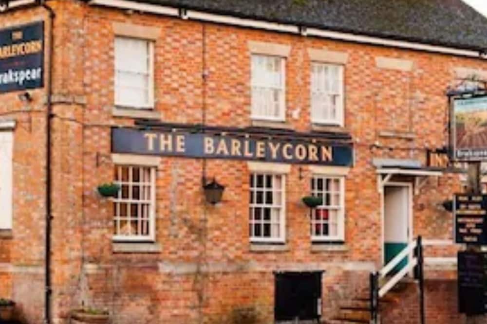 Photo of Outdoor in Collingbourne Kingston