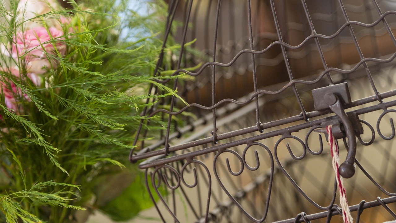 Photo of Others in Dinan